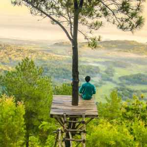 Person meditating on tree platform